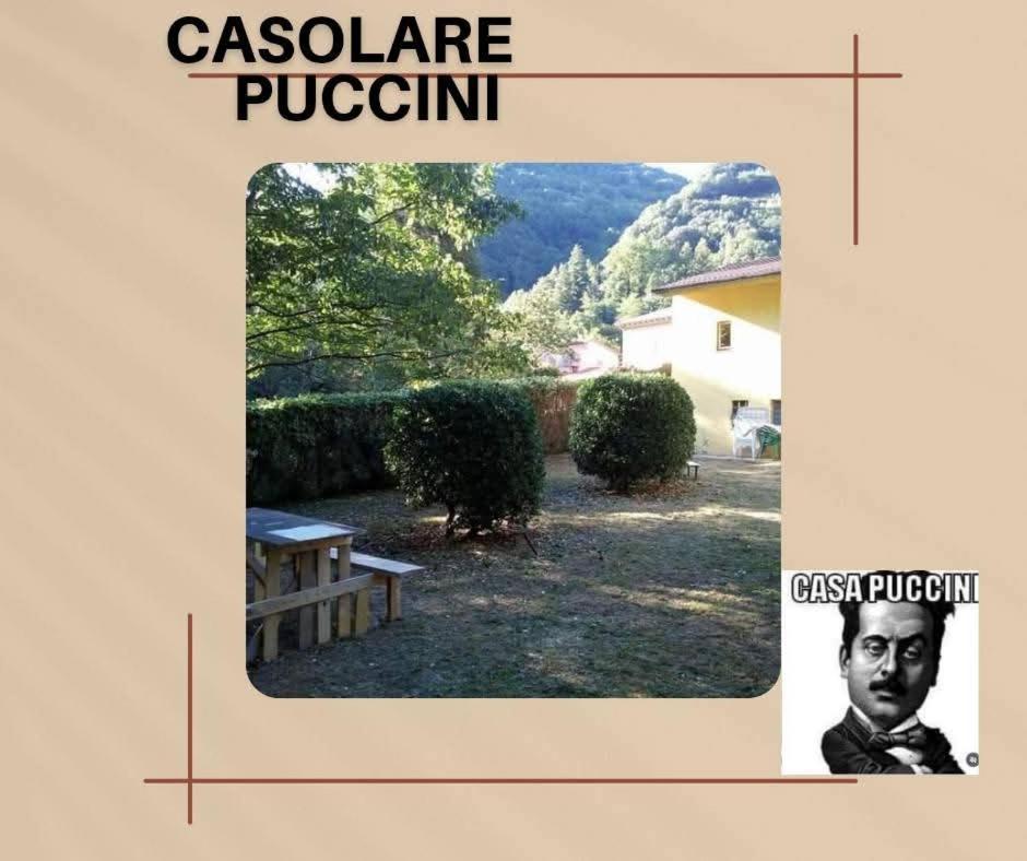 Casolare Puccini Leilighet Bagni di Lucca Eksteriør bilde