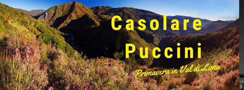 Casolare Puccini Leilighet Bagni di Lucca Eksteriør bilde